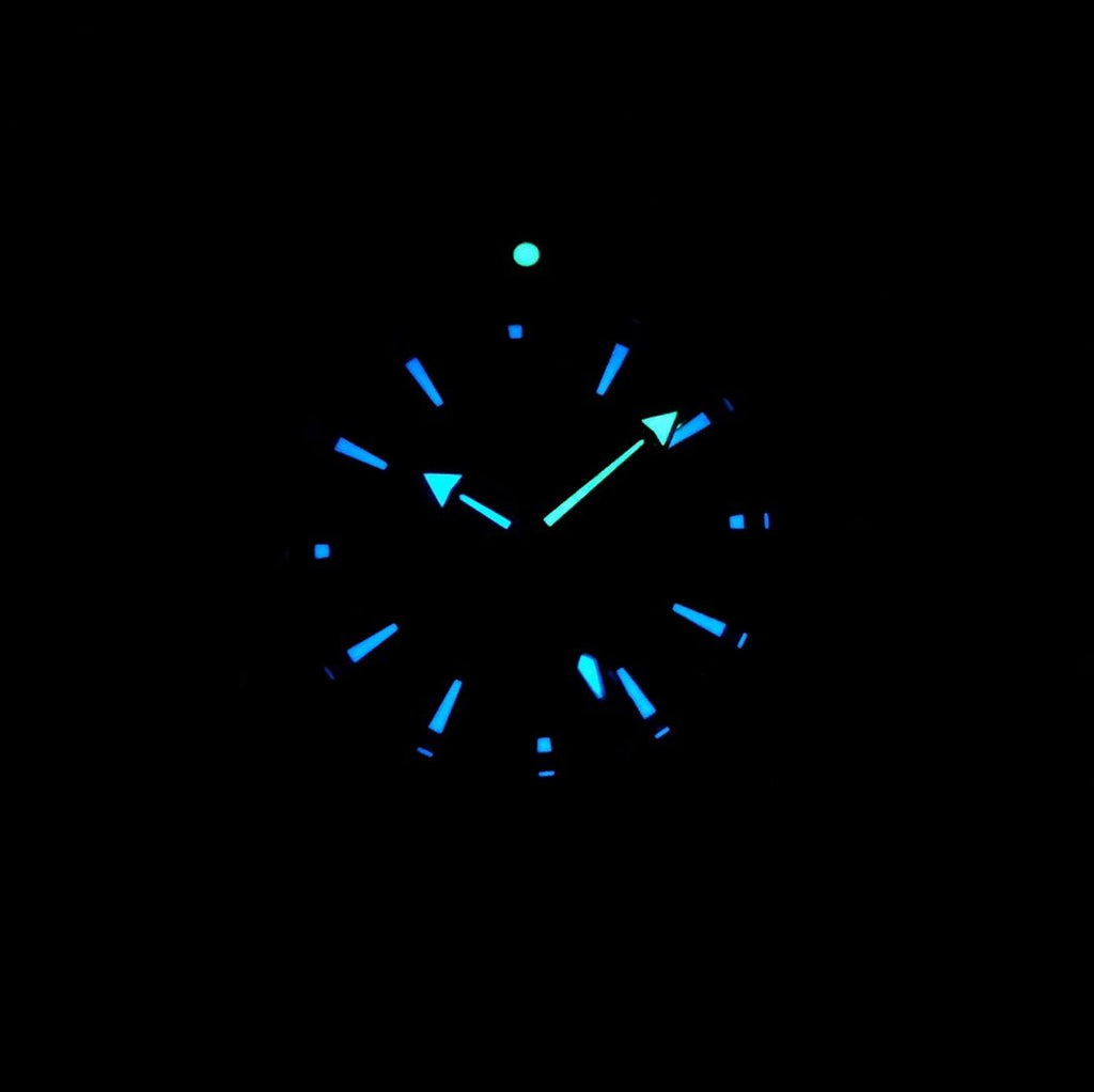 SEAMASTER PROFESSIONAL PLANET OCEAN 600M STEEL CASE BLACK DIAL