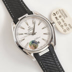 SEAMASTER AQUA TERRA 41MM STEEL CASE RUBBER STRAP